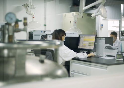 生产活力有序恢复，仪器仪表综合服务与物联网应用双轮驱动助力企业提质增效